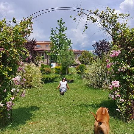 Green Villa Rodna Üsküp Dış mekan fotoğraf